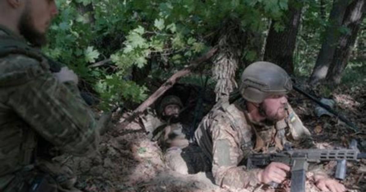 The Ultimate Guide to Operation Porcupine: Tactics and Strategies