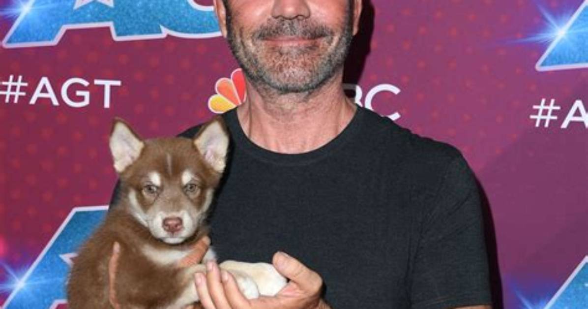 The Ultimate Guide to Simon Cowell's Sons: Names, Ages, and Family Facts