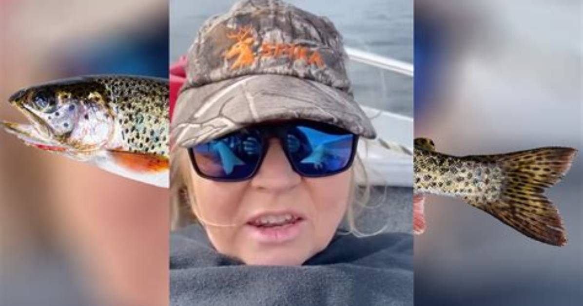 The Viral Sensation: the Trout Lady's Extraordinary Underwater Adventure