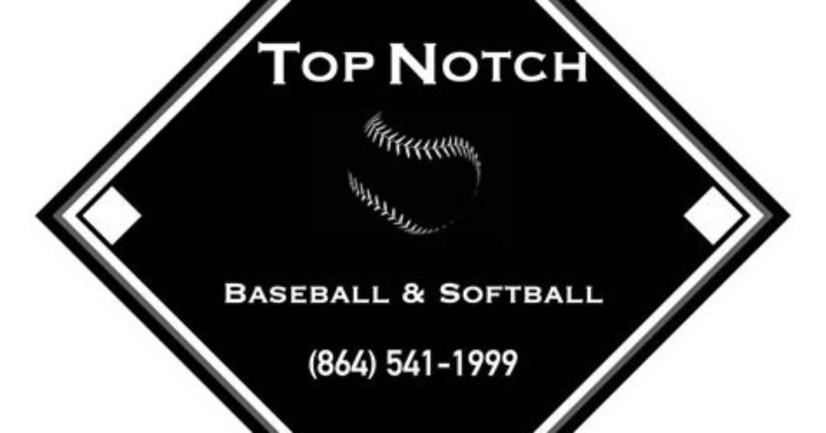 Top-Notch Baseball Star: a Profile of Nelson Cruz Sr.