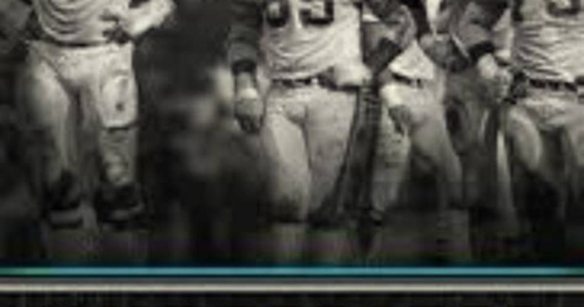 Top-Notch Miami Dolphins Teachers: Inspiring Young Minds