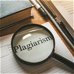 Truth Behind the Plagiarism Controversy