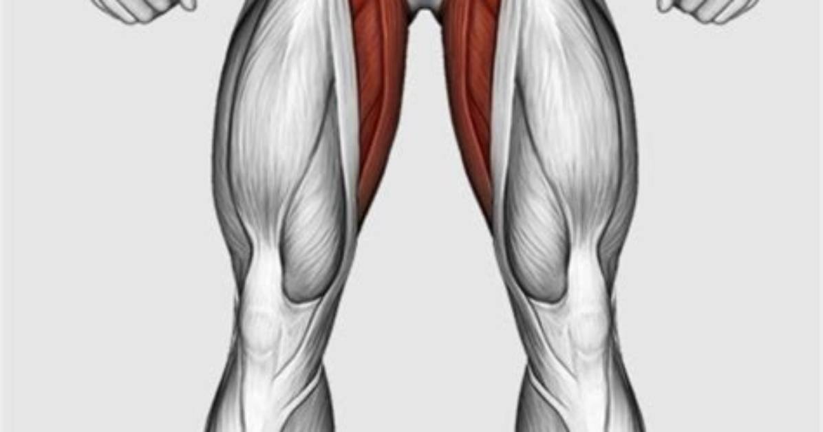 Ultimate Guide to Abductor and Adductor Exercises