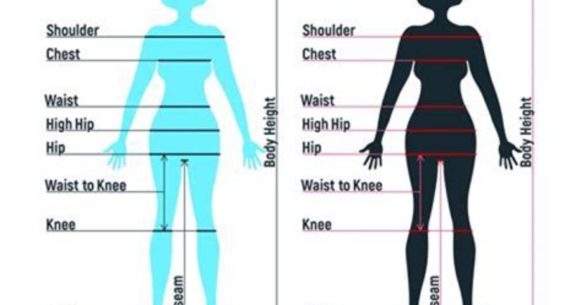 Ultimate Guide to Tyla Measurements: Know Your Body Better
