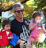 Uncover Dermot Mulroney's Ancestry: Discoveries and Insights