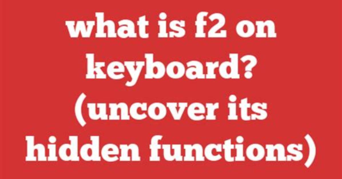 Uncover Its Name and Functions