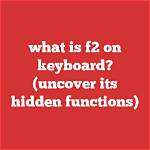 Uncover Its Name and Functions