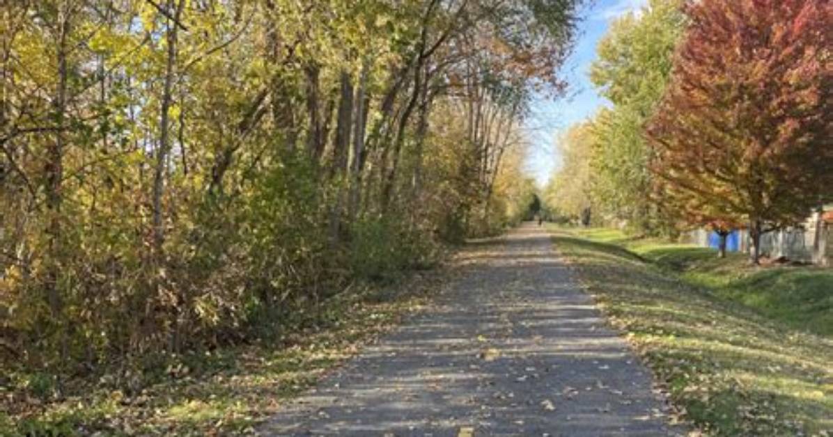 Uncover the Local Gems of Lansing with "Skip the Games Lansing"