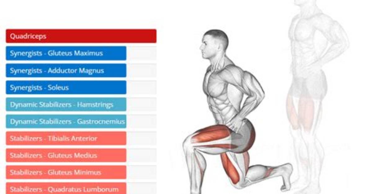 Uncover the Muscle Groups Targeted by Lunges: a Comprehensive Guide