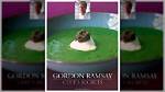 Uncover the Secrets of Gordon Ramsay's Towering Height