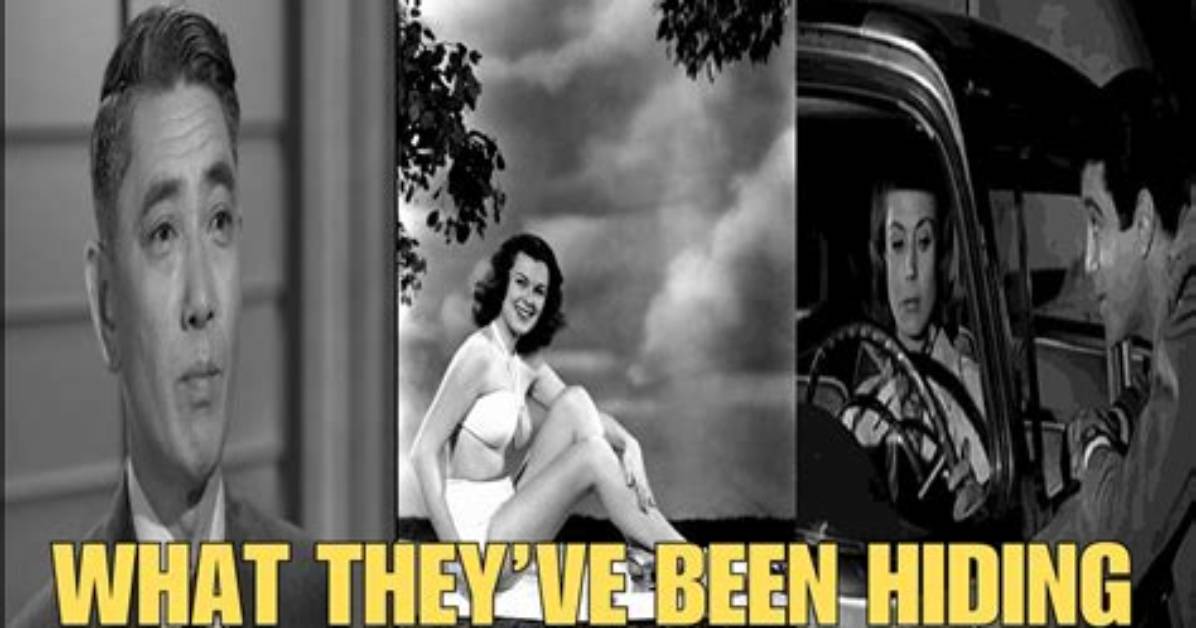 Uncover the Secrets of Raymond Burr's Enduring Partnership