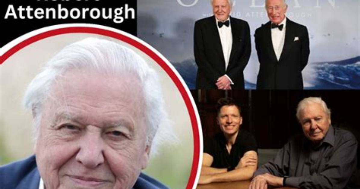 Uncovering Robert Attenborough's Legacy: a Journey of Discovery
