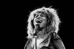 Uncovering the Hidden Gems of Tina Turner's Daughter's Legacy
