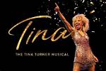 Uncovering the Musical Legacy of Tina Turner's Talented Daughter