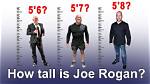Uncovering the Riches of Joe Rogan: a Fortune Unparalleled