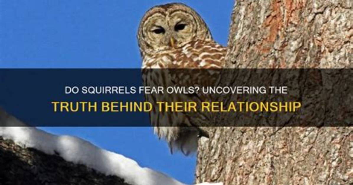 Uncovering the Truth Behind His Relationship Status and Family
