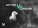 Uncovering the Truths and Myths