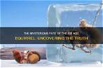 Uncovering the Youthful Reign: the Mysterious Age of Young Pharaohs
