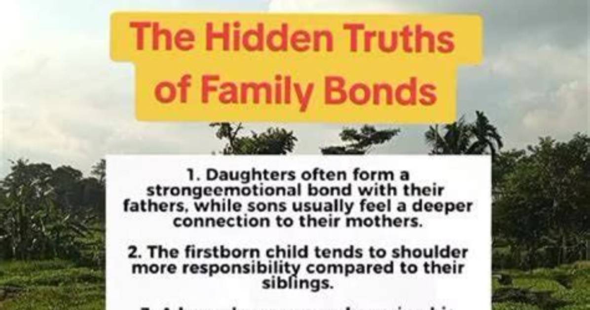Uncovering Truths About Family and Motherhood