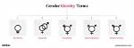 Understanding Brittney Griner: Gender Identity and Birth Facts