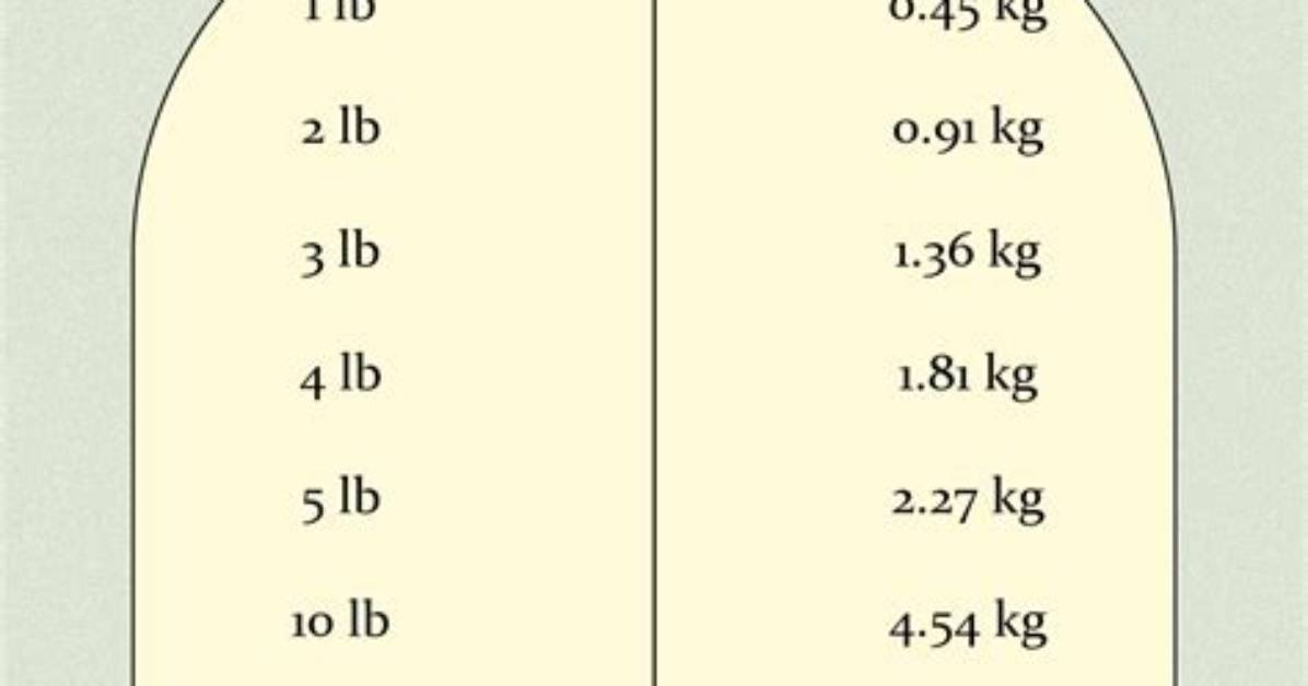 Understanding the Conversion: How Many Pounds Is 18.6 Kg?