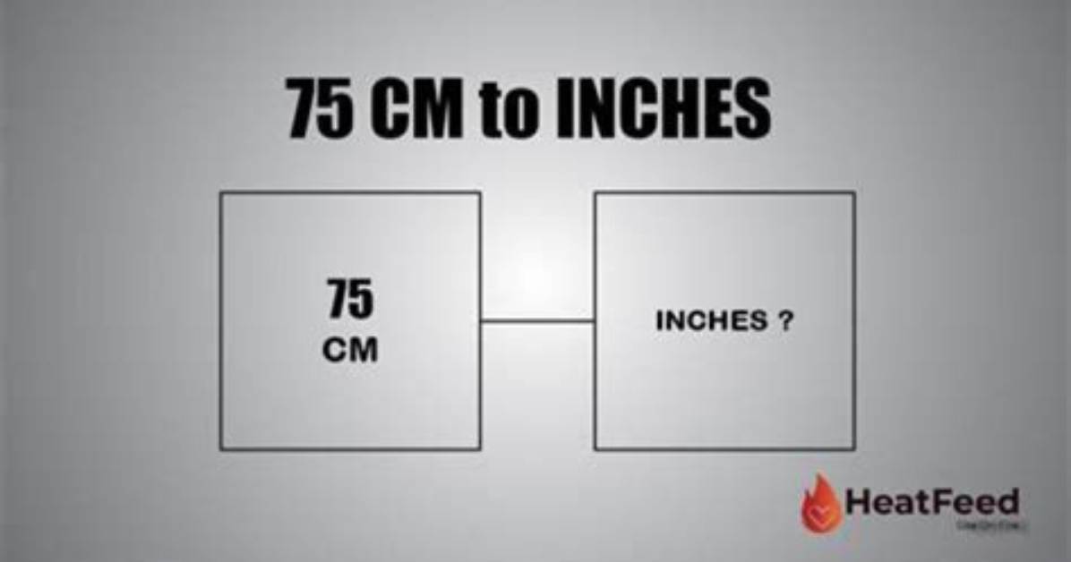 Understanding the Conversion of 19.5Cm to Inches