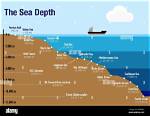Understanding the Depths of Cosca's First Law