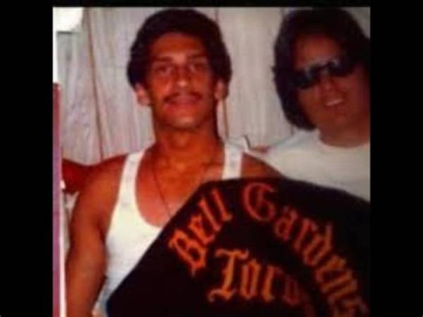 Understanding the Dynamics of Bell Gardens Gangs
