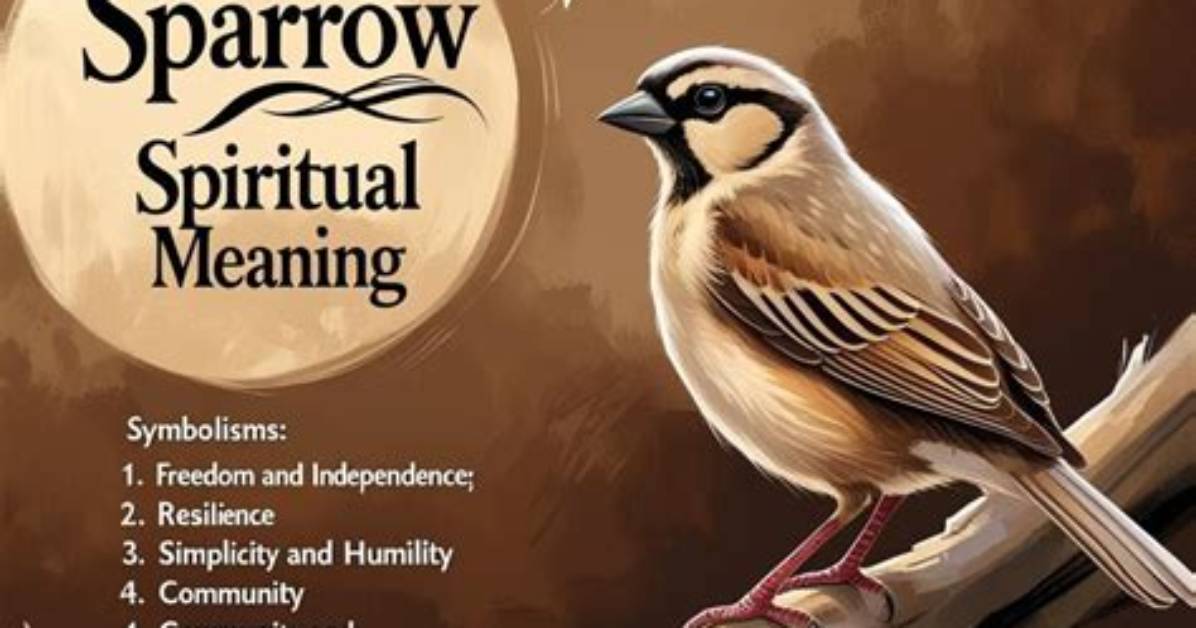 Understanding the Essence: the Black Sparrow Meaning