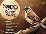 Understanding the Essence: the Black Sparrow Meaning