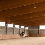Understanding the House Horse Official: a Unique Perspective