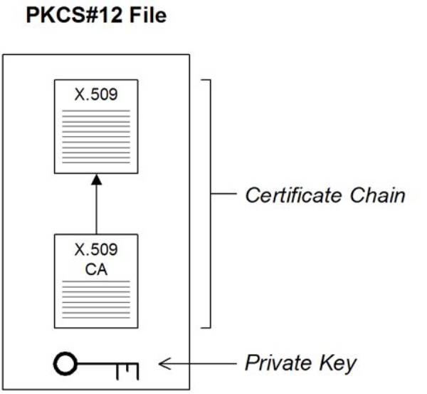 Understanding the Nuances of Pkcs12 vs Pfx: a Comprehensive Guide