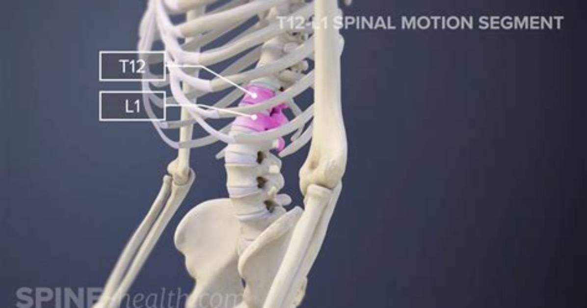 Understanding the T12 Medical Abbreviation: Significance and Implications