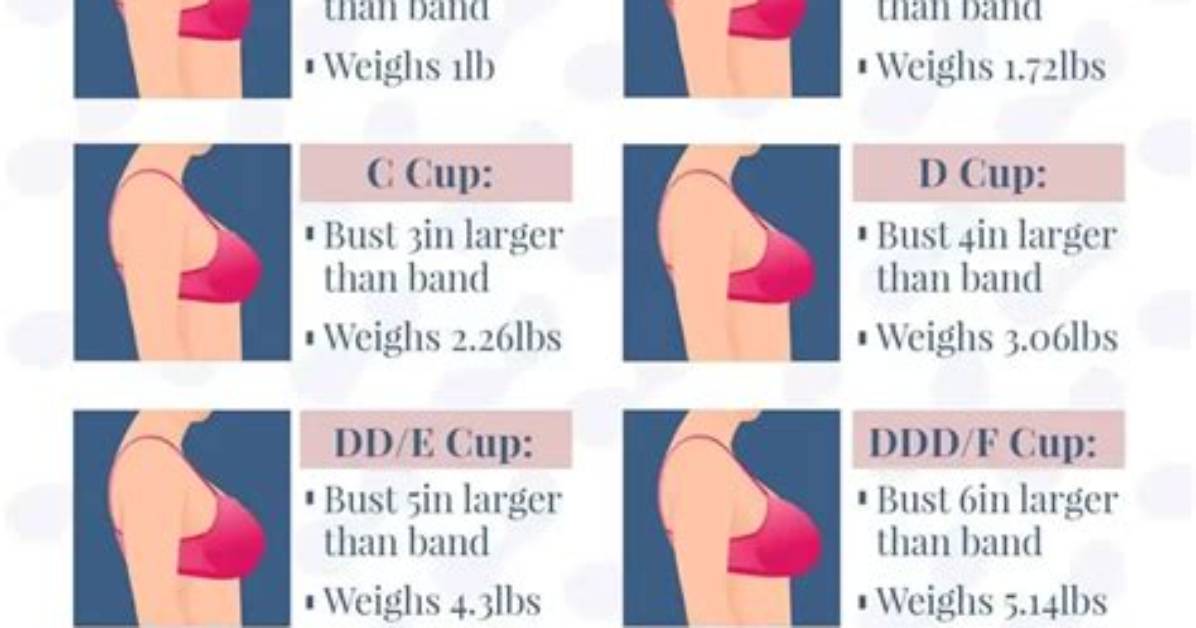 Understanding Tyla Breast Size: Insights and Intrigues