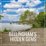 Unlock Bellingham's Hidden Gems with Skipthegames
