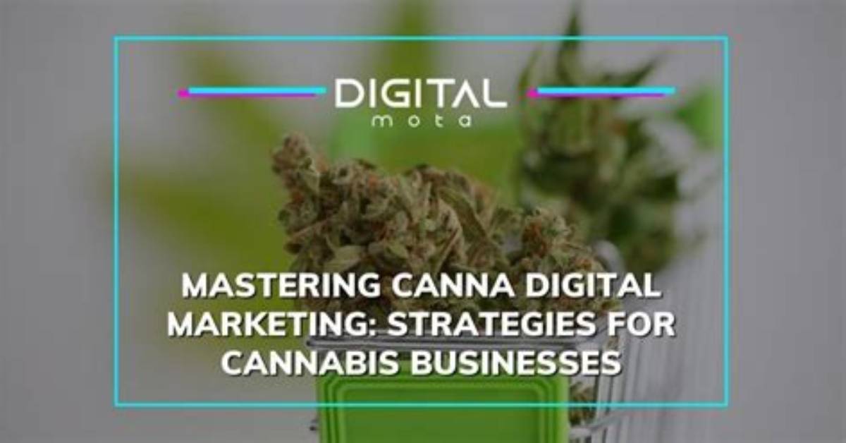 Unlock the Secrets of Cannabis Marketing Canna-Mack: Discoveries and Insights