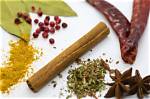 Unlock the Secrets of Kanell: a Spice of Discovery
