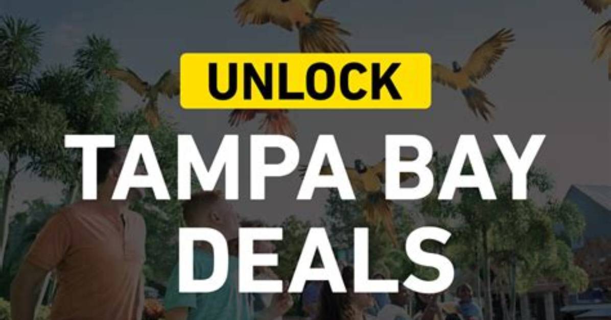 Unlock the Secrets of Tampa Bay Real Estate with Leonelis Blanco