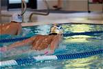 Unlocking Insights into Swimming Success and Legacy