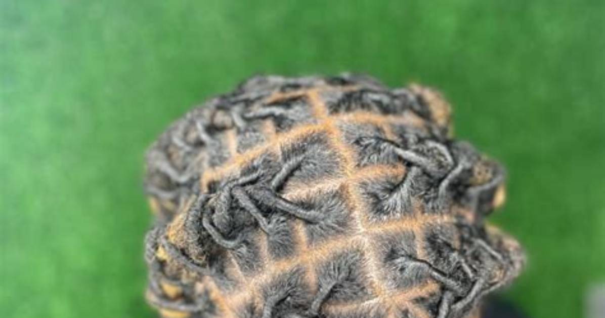 Unlocking the Beauty of Barrel Twists: a Trendy Hairstyle for Every Occasion
