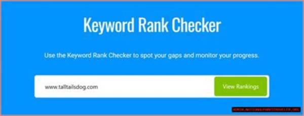Unlocking the Power of Google Keyword Rank Checker Api