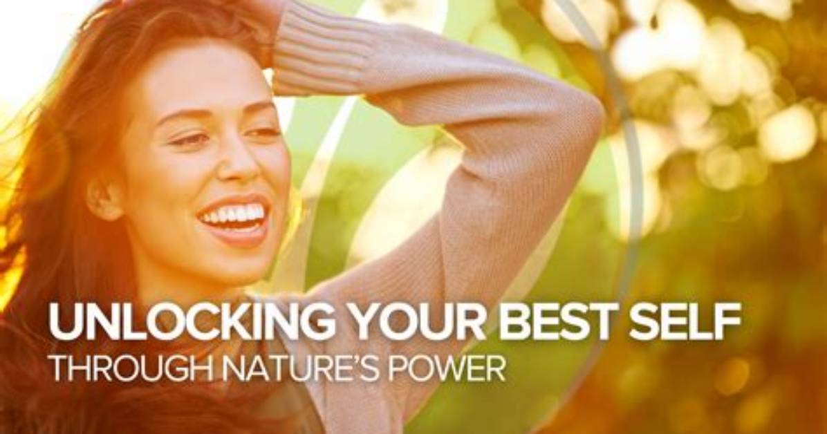 Unlocking the Power of Nature: Discovering the Best Oil for Wood Therapy