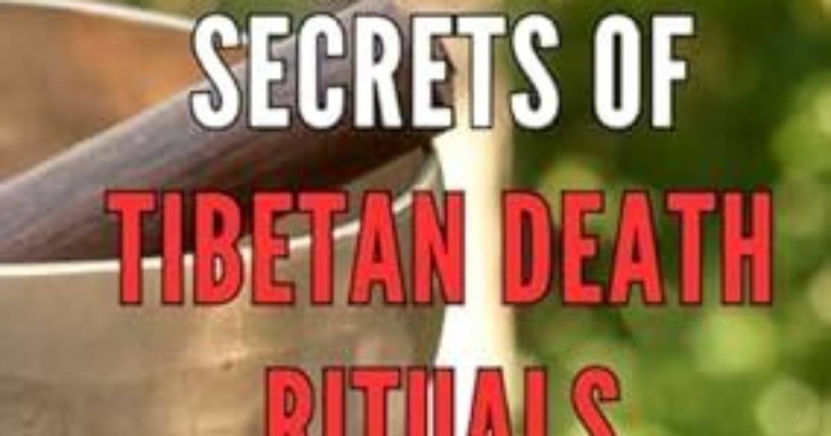 Unlocking the Secrets of Mortuary Life: How to Become a Mortician in Bitlife
