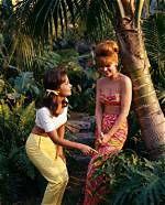 Unlocking the Secrets of the Iconic "Gilligan's Island" Cast