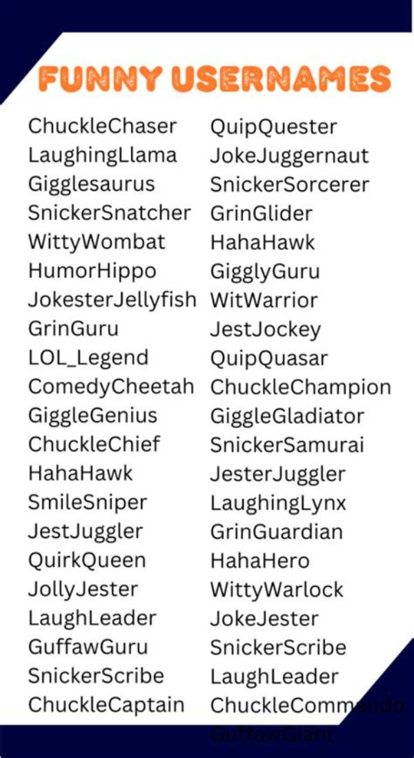 Unlocking the World of Funny Usernames: a Journey into Humor