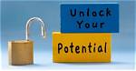 Unlocking Your Website's Potential: Check My Website Ranking in Google