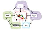 Unraveling the Cause, Impact, and Road Safety Implications