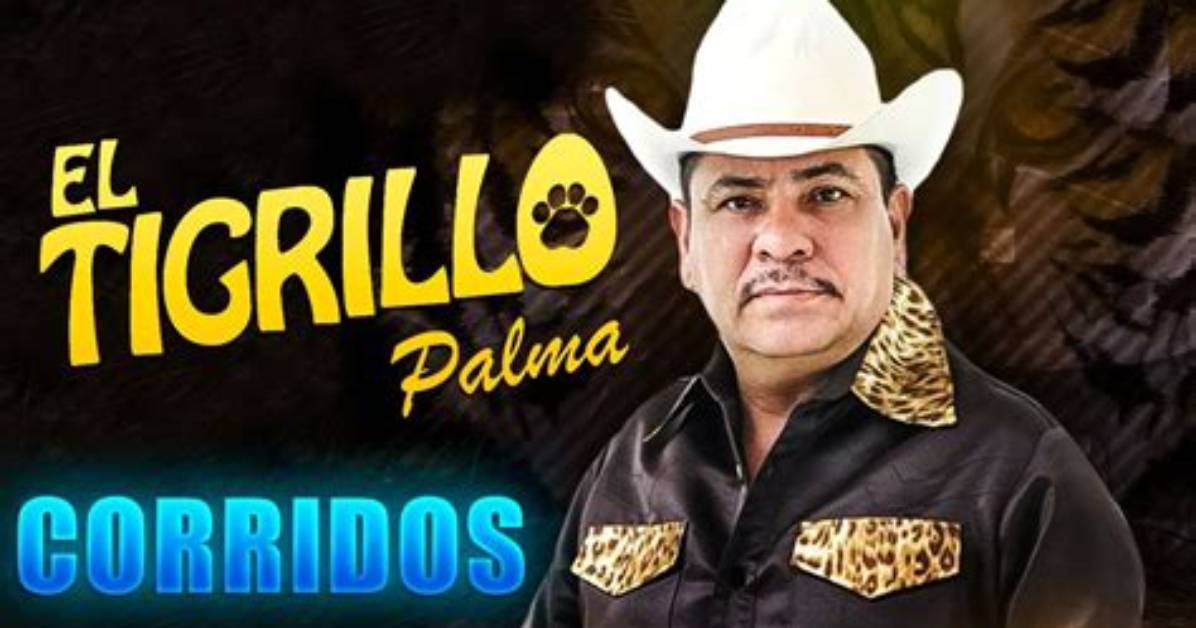 Unraveling the Enigma of El Tigrillo Palma Age