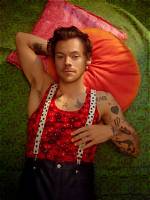 Unraveling the Love Life of Harry Styles: Who's Dated Who?