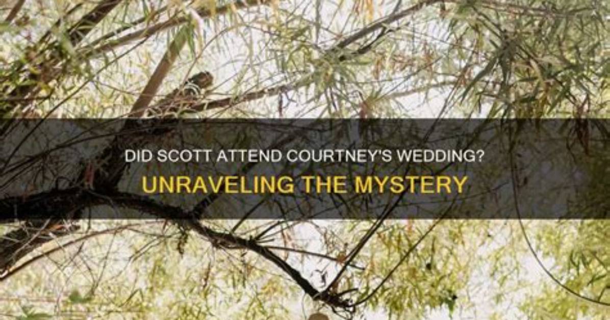 Unraveling the Mystery: Did Scott and Andrea Swift Remarry?